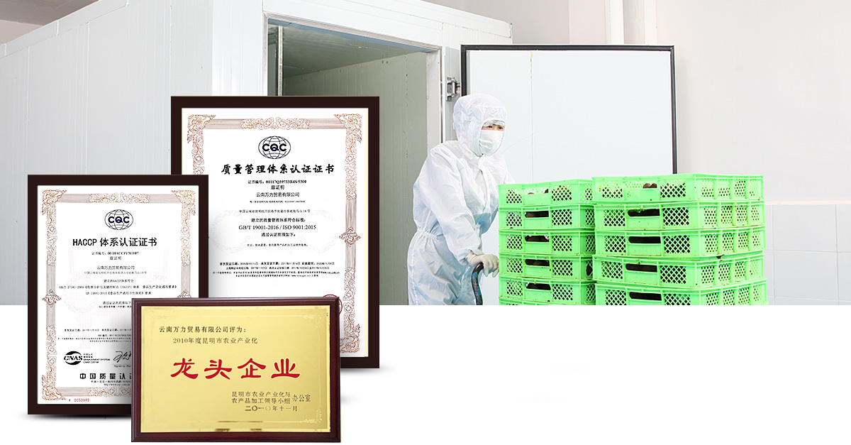品質(zhì)保障