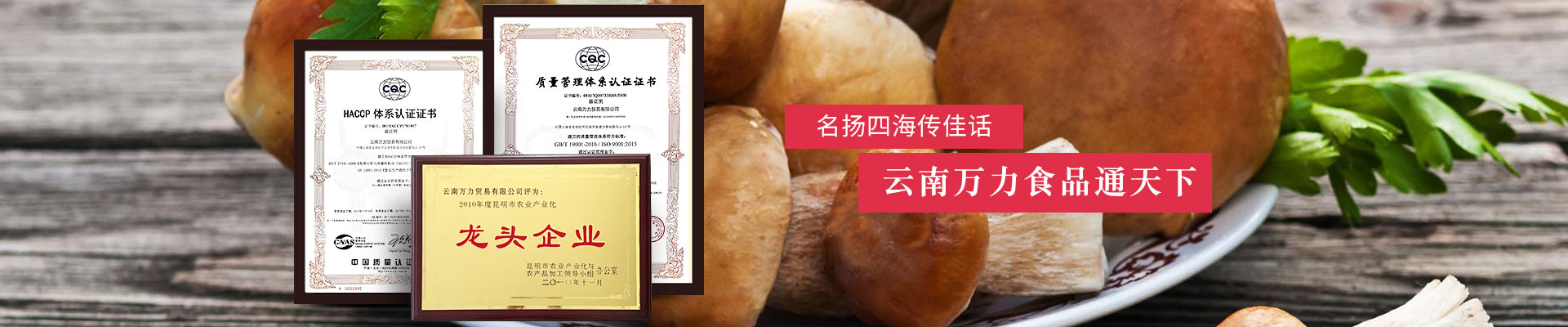 名揚(yáng)四海傳佳話(huà)，云南萬(wàn)力食品通天下