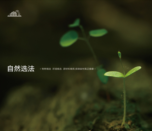 關(guān)于萬力